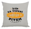 Polštář Zahřívám se pivem