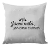 Polštář Jsem milá, jen blbě čumim. 