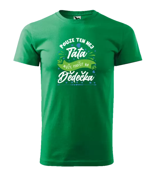 Pánské tričko Pouze ten nej táta může povýšit na dědečka
