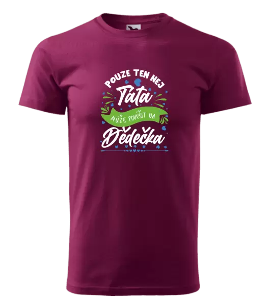 Pánské tričko Pouze ten nej táta může povýšit na dědečka