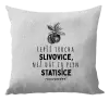Polštář Lepší trocha slivovice