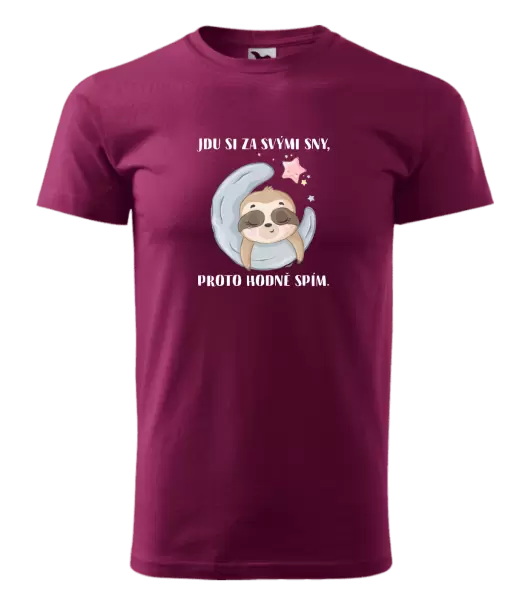 Pánské tričko Jdu si za svými sny, proto hodně spím