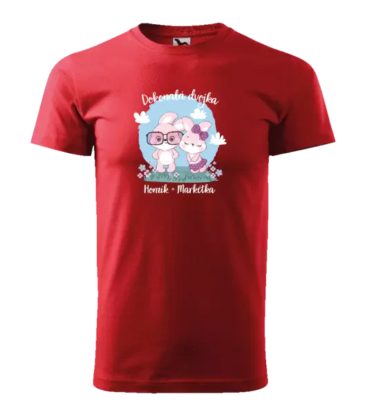 Pánské tričko Dokonalá dvojka