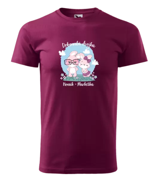 Pánské tričko Dokonalá dvojka