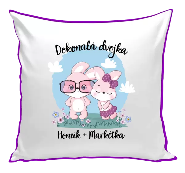 Polštář Dokonalá dvojka