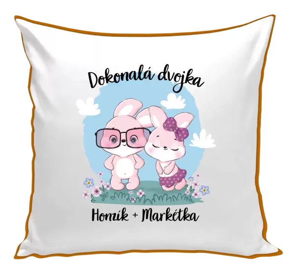 Polštář Dokonalá dvojka