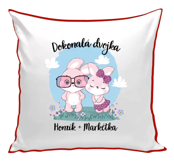 Polštář Dokonalá dvojka