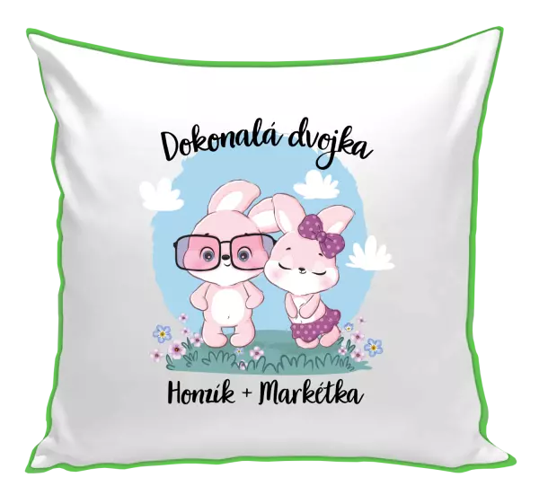 Polštář Dokonalá dvojka