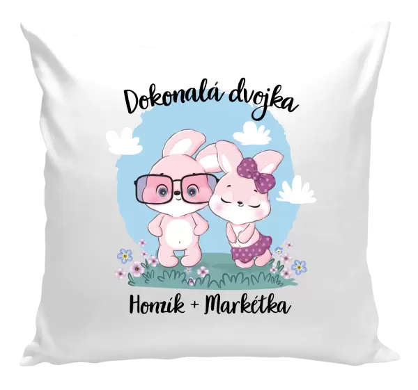 Polštář Dokonalá dvojka