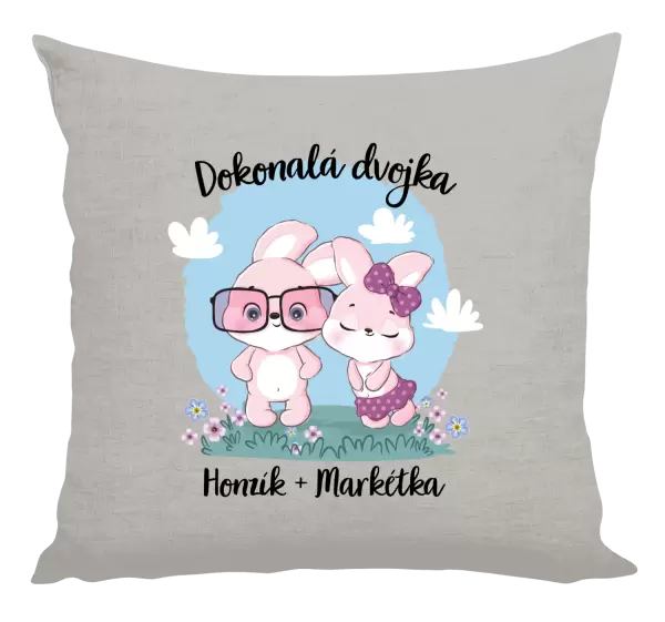 Polštář Dokonalá dvojka