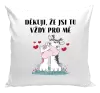 Polštář Děkuji, že jsi tu vždy pro mě