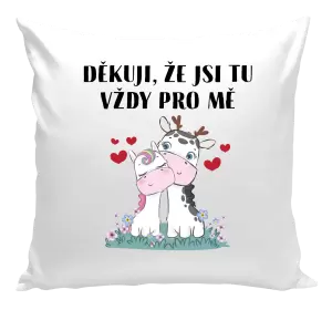Polštář Děkuji, že jsi tu vždy pro mě