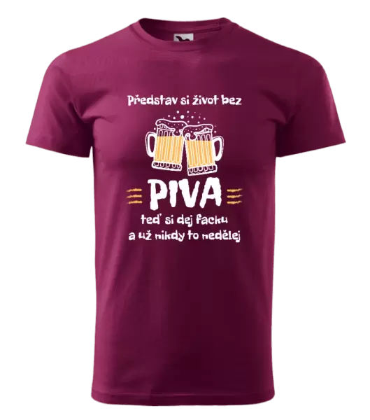 Pánské tričko Představ si život bez piva
