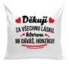 Polštář Děkuju za všechnu lásku, kterou mi dáváš!