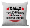 Polštář Děkuju za všechnu lásku, kterou mi dáváš!
