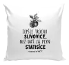 Vankúš Lepšie trochu slivovice...