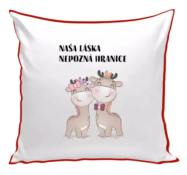 Vankúš Naša láska nepozná hranice