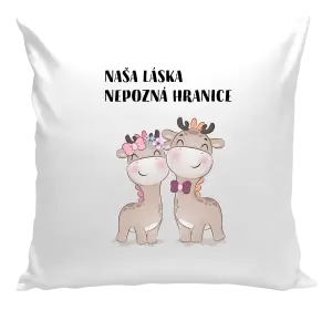 Vankúš Naša láska nepozná hranice