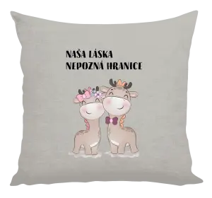 Vankúš Naša láska nepozná hranice