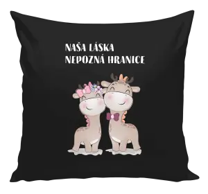 Vankúš Naša láska nepozná hranice