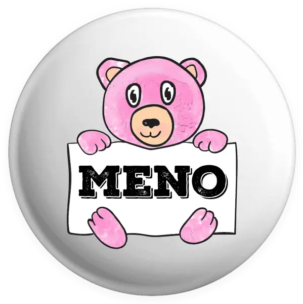 Placka Medvídek se jménem - kopie