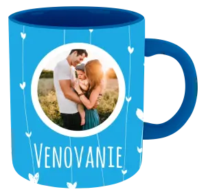  Lístečky na modrém pozadí - kopie