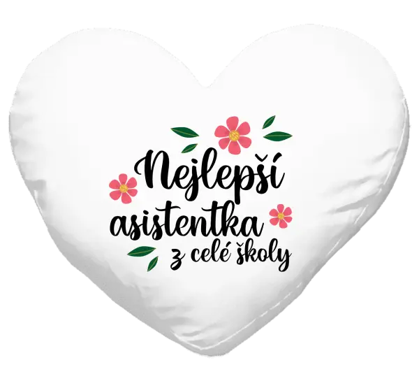 Polštář Nejlepší asistentka z celé školy