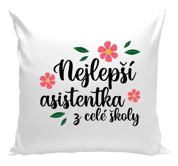 Polštář Nejlepší asistentka z celé školy