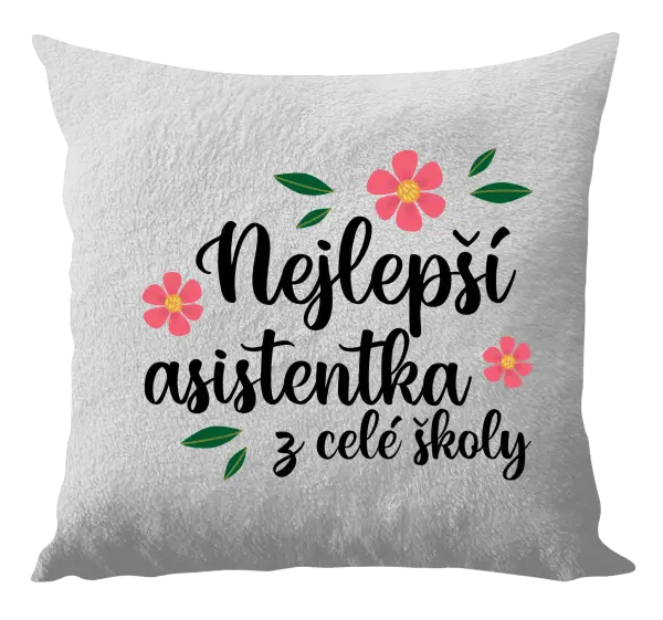Polštář Nejlepší asistentka z celé školy