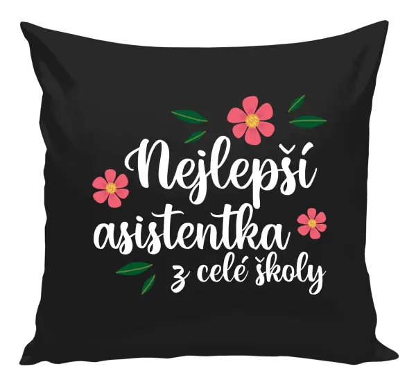 Polštář Nejlepší asistentka z celé školy
