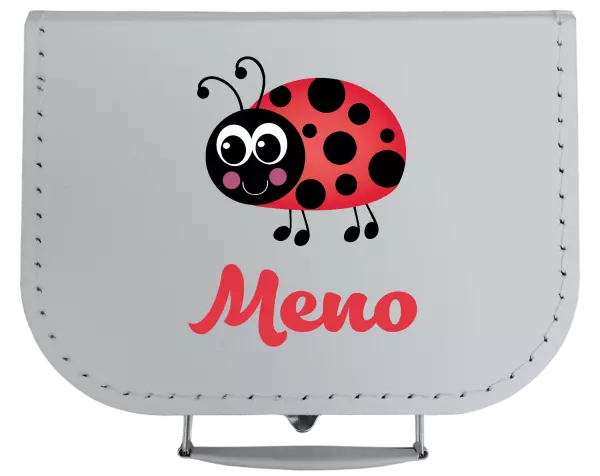 Kufrík Beruška se jménem - kopie