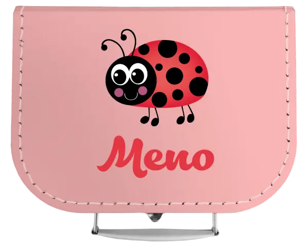 Kufrík Beruška se jménem - kopie