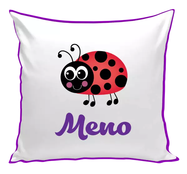 Vankúš Beruška se jménem - kopie