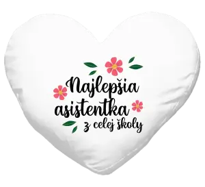 Vankúš Nejlepší asistentka z celé školy - kopie