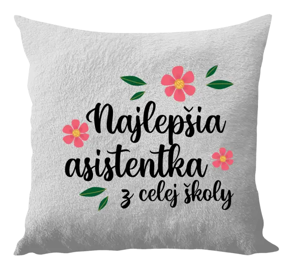 Vankúš Nejlepší asistentka z celé školy - kopie
