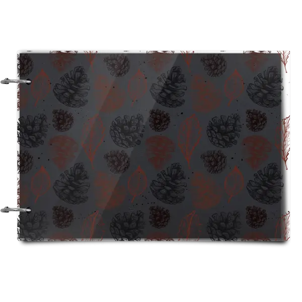 Plexi album sa sponami Šišky - kopie