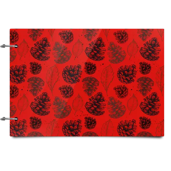 Plexi album sa sponami Šišky - kopie