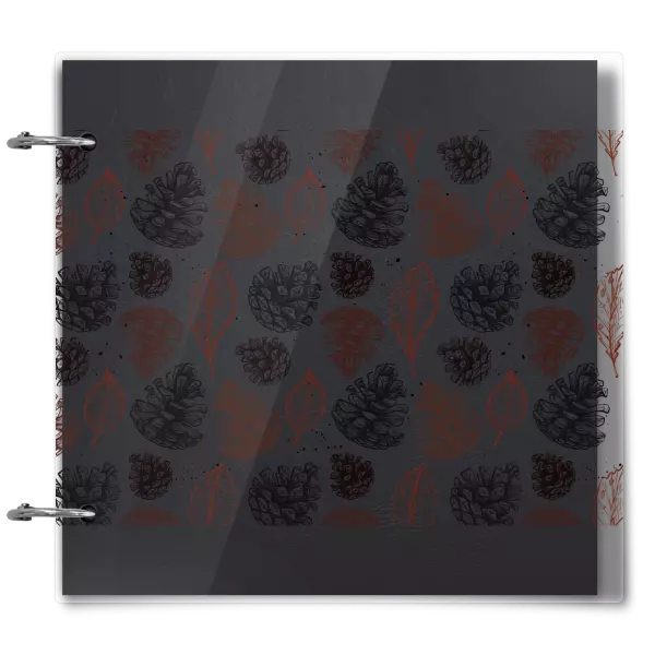 Plexi album sa sponami Šišky - kopie