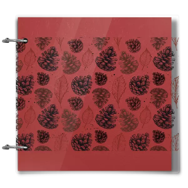 Plexi album sa sponami Šišky