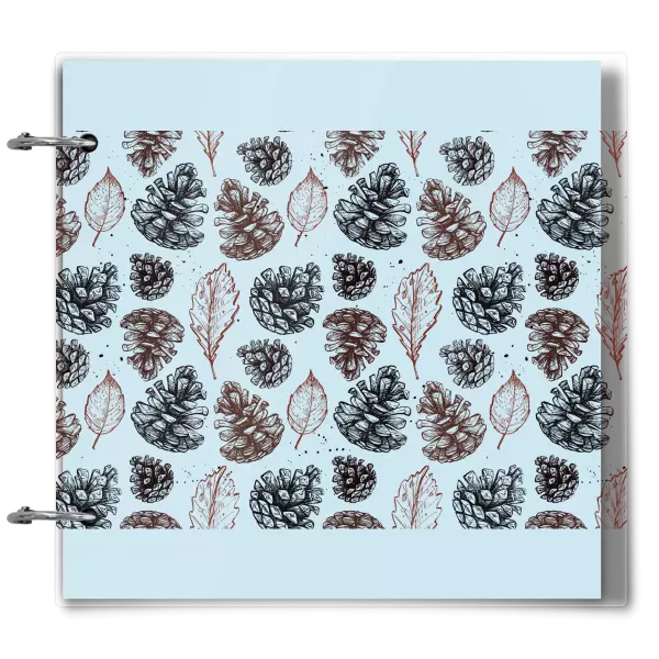 Plexi album sa sponami Šišky