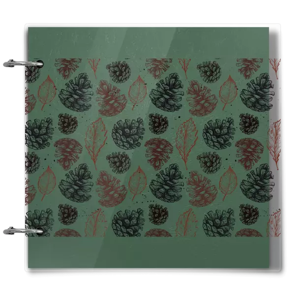 Plexi album sa sponami Šišky - kopie