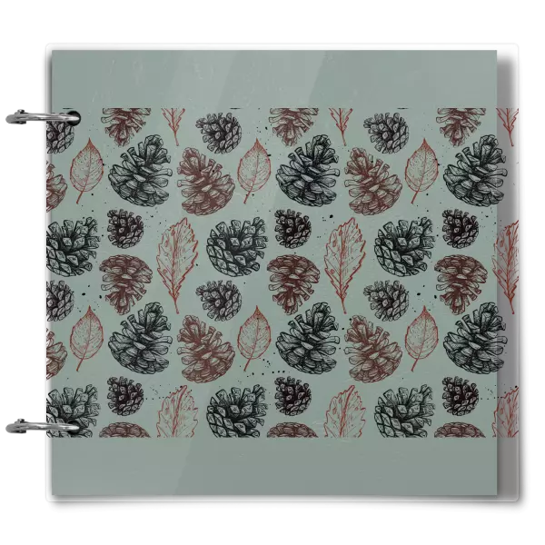 Plexi album sa sponami Šišky