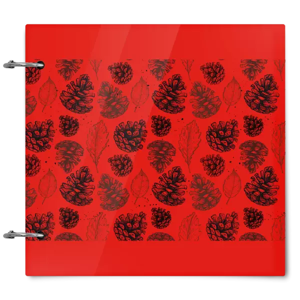 Plexi album sa sponami Šišky - kopie