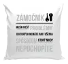 Vankúš Musím riešiť problémy - zámočník