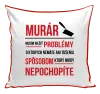 Vankúš Musím riešiť problémy - murár