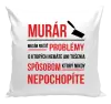 Vankúš Musím riešiť problémy - murár
