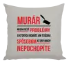 Vankúš Musím riešiť problémy - murár