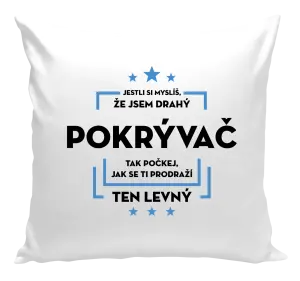 Vankúš Pokiaľ si myslíš, že som drahý - pokrývač