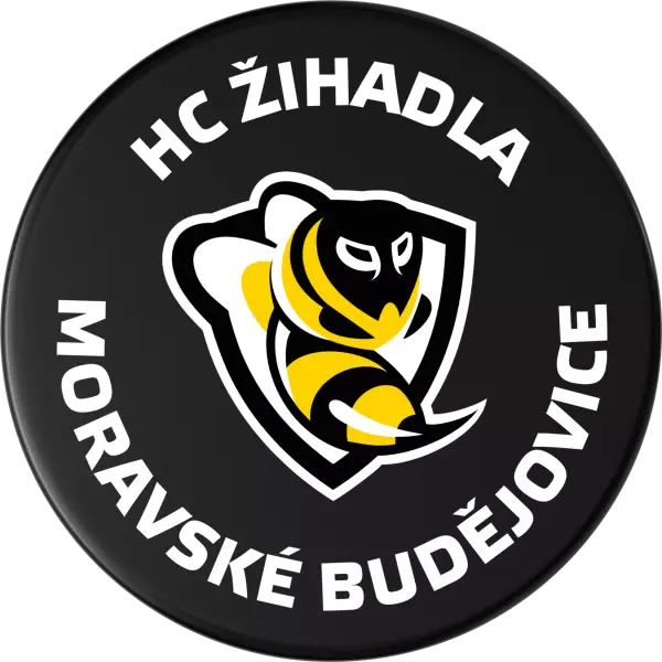 Hokejový puk Znak s textem kruh