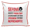 Polštář Musím řešit problémy - šéfová